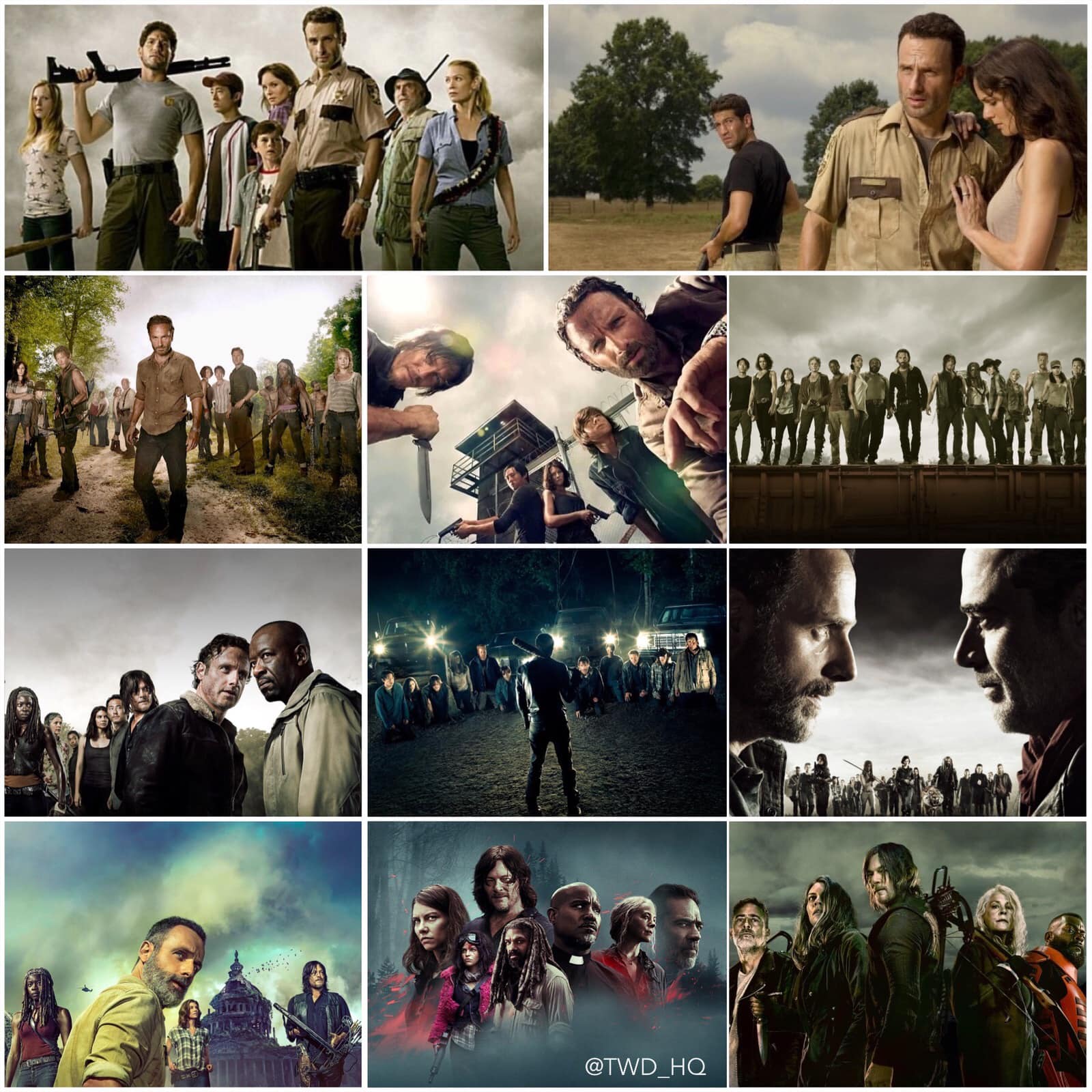 The Walking Dead Series Season 1-11 (DVD)