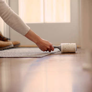 Scotch-Brite Lint Roller, 95-count, 5-pack