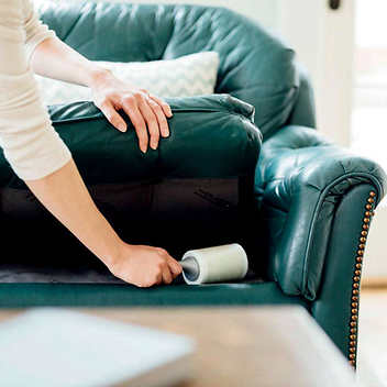 Scotch-Brite Lint Roller, 95-count, 5-pack