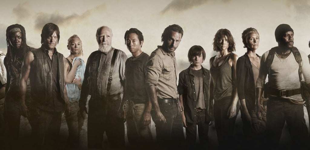 The Walking Dead Series Season 1-11 (DVD)