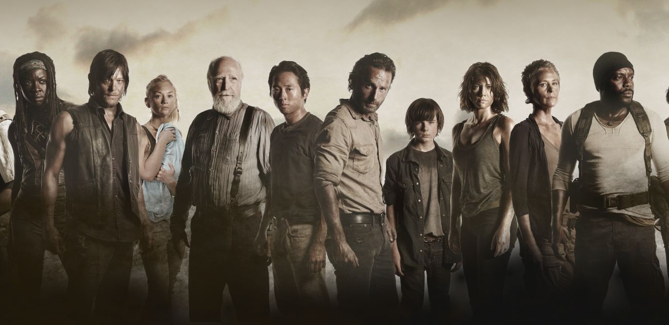 The Walking Dead Series Season 1-11 (DVD)